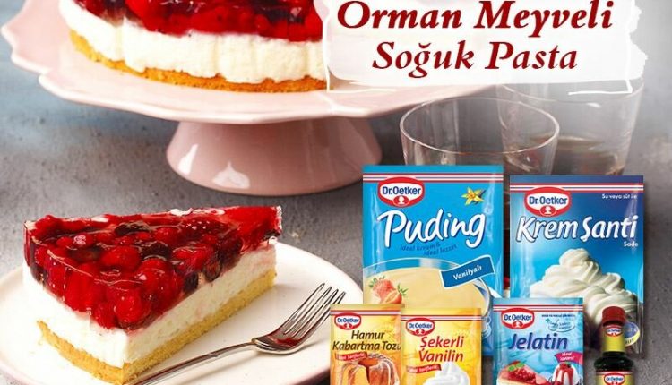 orman-meyveli-soguk-pasta-3tNqxnkS.jpg